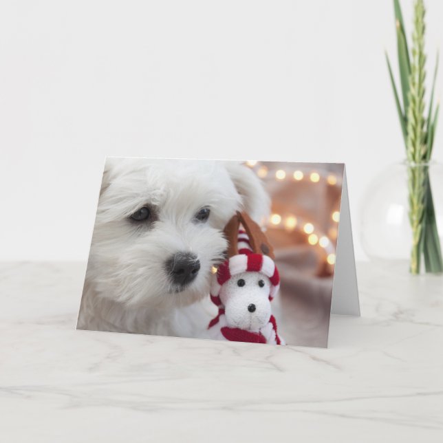 Tarjeta Festiva ¡Joyeux Noël! (Anverso)