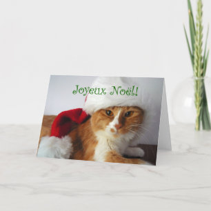 Tarjeta Festiva Joyeux Noël - Gato con Sombrero Santa
