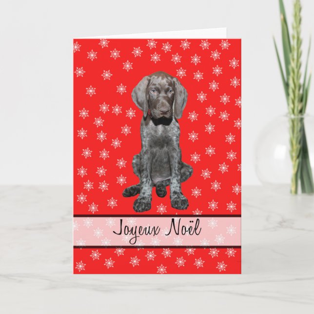 Tarjeta Festiva Joyeux Noël german shorthal (Anverso)