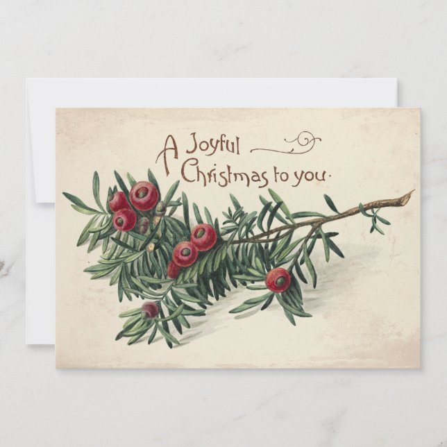 Tarjeta Festiva Joyful Christmas Vintage Evergreen Red Berries  (Anverso)
