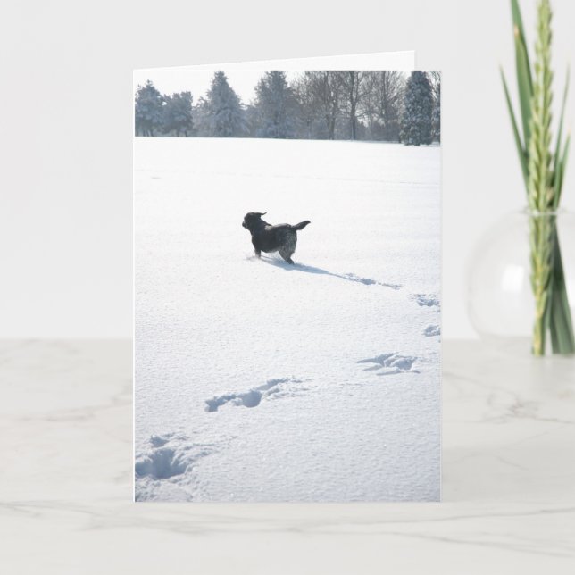 Tarjeta Festiva Juegos negros de Labrador en la nieve (Anverso)