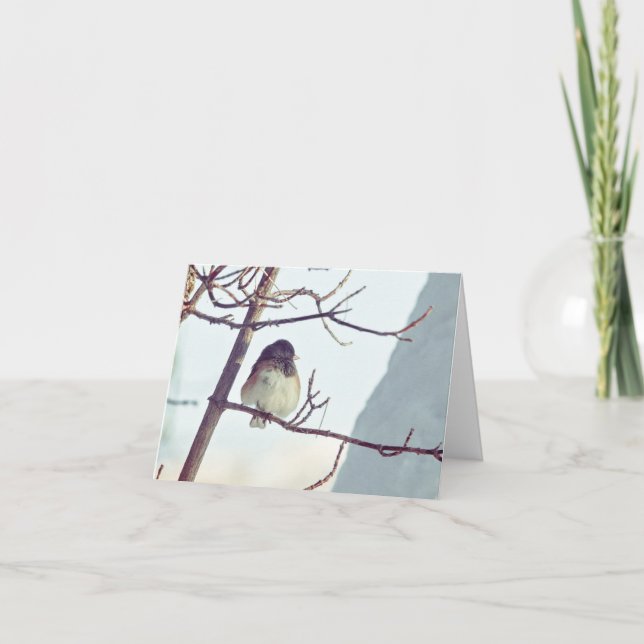 Tarjeta Festiva Junco in Montana Winter - 4" x 5.6" Notecard (Anverso)