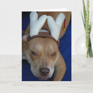 Tarjeta Festiva Junebug el noveno reno