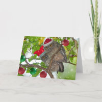 Juvenile Western Screech Owings Navidades