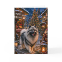 Keeshond Fiesta