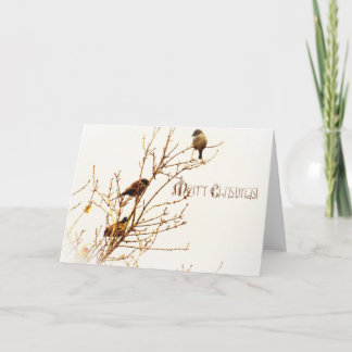 Tarjeta Festiva Kerstkaart - Christmas Card - Merry Christmas!