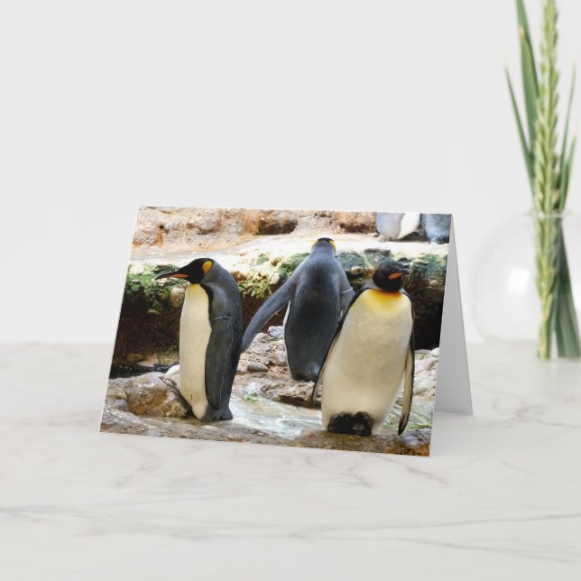 Tarjeta Festiva King Penguins (Anverso)