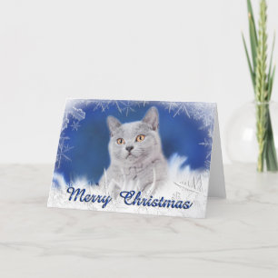 Tarjeta Festiva Kitten