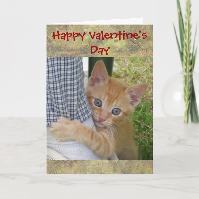 Tarjeta Festiva Kitten Dax Valentine Card (Anverso)