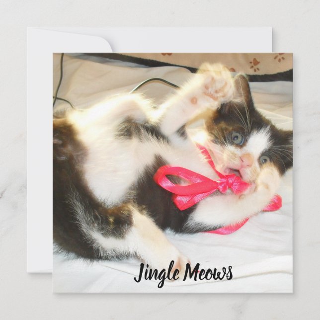 Tarjeta Festiva Kitten Photo Text Jingle Meows, Customize,  (Anverso)