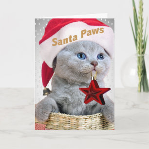 Tarjeta Festiva Kitten Santa Paws, un gatito británico de Shorthai