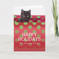 Kitty In Gift Box