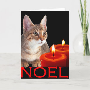 Tarjeta Festiva Kitty y velas