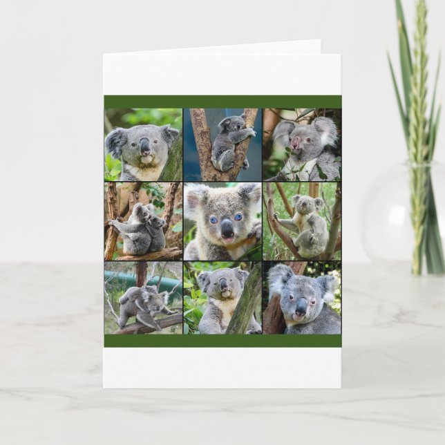 Tarjeta Festiva Koala australiano en árbol eucalipto (Anverso)