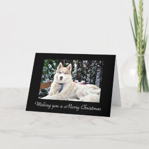 Tarjeta Festiva Kodi - banco de la nieve