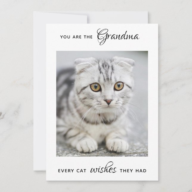 Tarjeta Festiva La abuela del gato, la foto Mascota personalizada, (Anverso)