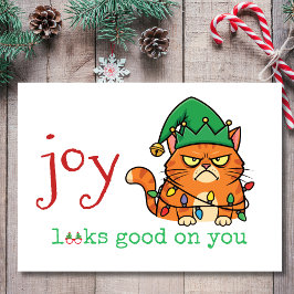 Tarjeta Festiva La alegría se ve bien en el gato de tus Navidades