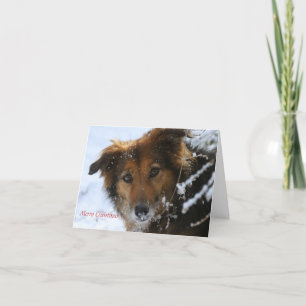 Tarjeta Festiva La amapola ama nieve