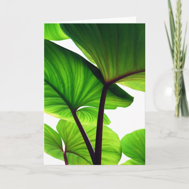 Tarjeta Festiva La calabaza sale de la foto floral (Anverso)