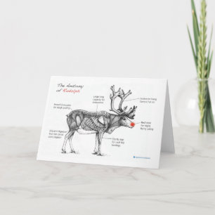 Tarjeta Festiva la carta de la anatomía de los Navidades Rudolph