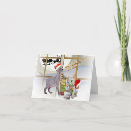 Tarjeta Festiva La creencia de Sphynx Kitten en Santa