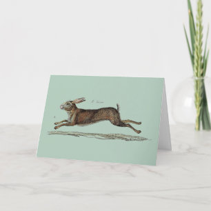 Tarjeta Festiva La liebre de la Carreras en Pascua