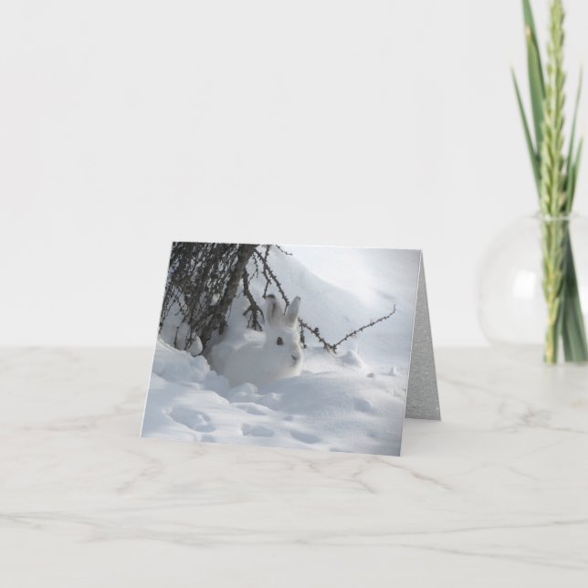 Tarjeta Festiva La liebre de la raqueta de nieve con Bush en la ni (Anverso)