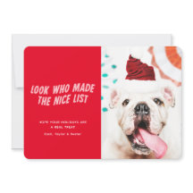 La lista bonita | Foto de perro Mascota de vacacio