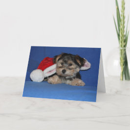 Tarjeta Festiva La magia de Santa de las esperanzas del perrito