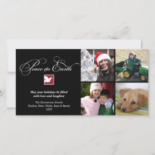 Tarjeta Festiva La paz de la paloma blanca negra en la tierra salu