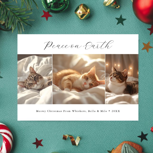 Tarjeta Festiva La paz en la tierra: Navidades miowy, foto de gato (Subido por el creador)