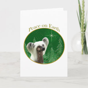 Tarjeta Festiva La paz quieta en China