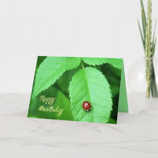 Tarjeta Festiva La Placer-mariquita simple de la vida