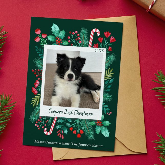 Tarjeta Festiva La primera foto navideña de un oscuro y verde cach (Puppy's First Christmas Photo Holiday Card)