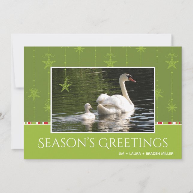 Tarjeta Festiva La temporada de Ornamentos de Swan y Star (Anverso)