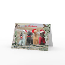 Lab Tis The Season Cards