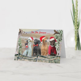 Tarjeta Festiva Lab Tis The Season Cards