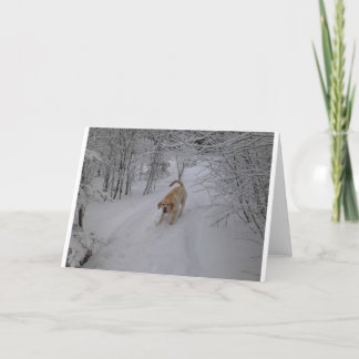 Tarjeta Festiva Laboratorio amarillo que juega en nieve fresca del