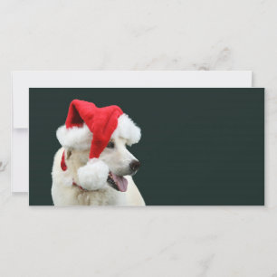 Tarjeta Festiva Laboratorio amarillo Santa Claus