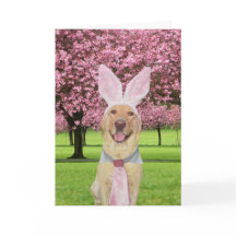 Laboratorio de Pascua