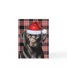 Laboratorio negro de navidades y placa de festivid