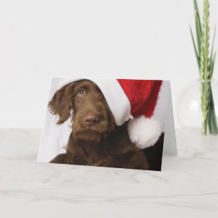 Tarjeta Festiva Labradoodle que lleva un gorra de Santa