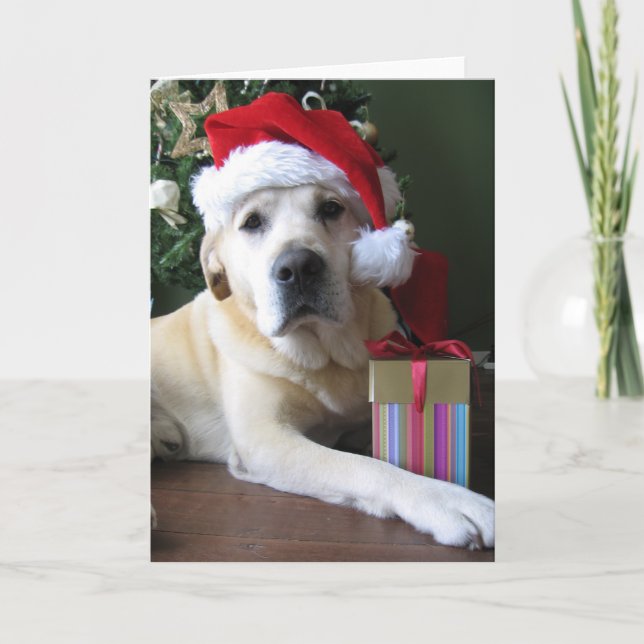 Tarjeta Festiva Labrador amarillo hermoso Santa (Anverso)