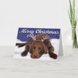 Tarjeta Festiva Labrador Chocolate Durmiendo Con Cuernecillos Foto