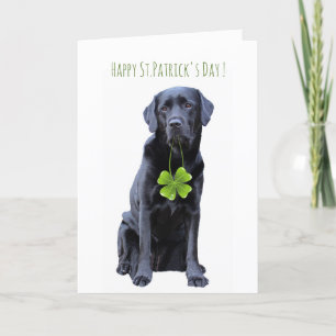 Tarjeta Festiva Labrador de San Patricio - Laboratorio Negro