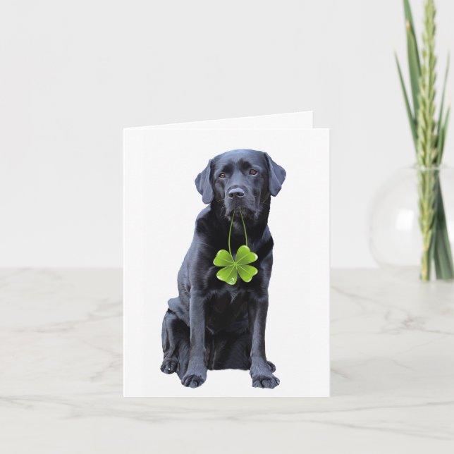 Tarjeta Festiva Labrador de San Patricio - Laboratorio Negro (Anverso)