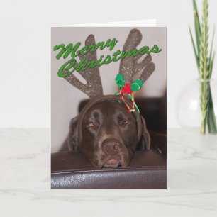 Tarjeta Festiva Labrador Divertido Antelares Brillantes Texto Pers