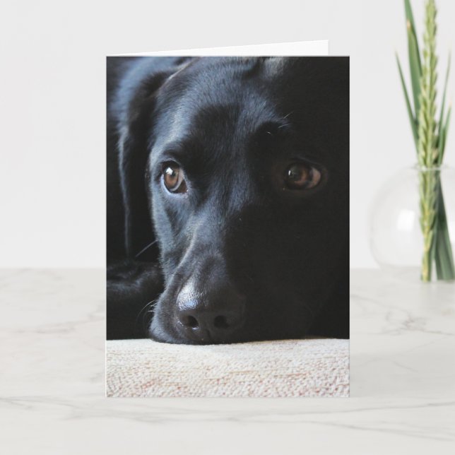 Tarjeta Festiva Labrador negro (Anverso)