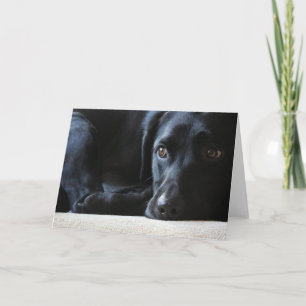 Tarjeta Festiva Labrador negro