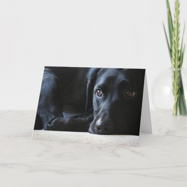 Tarjeta Festiva Labrador negro (Anverso)